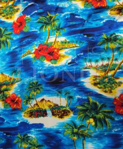 Carnaval cocotiers