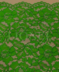 Dentelle rebrodé vert
