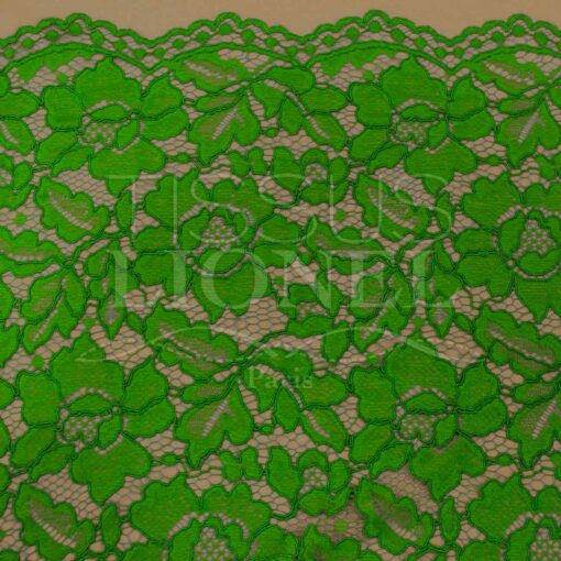 Dentelle rebrodé vert