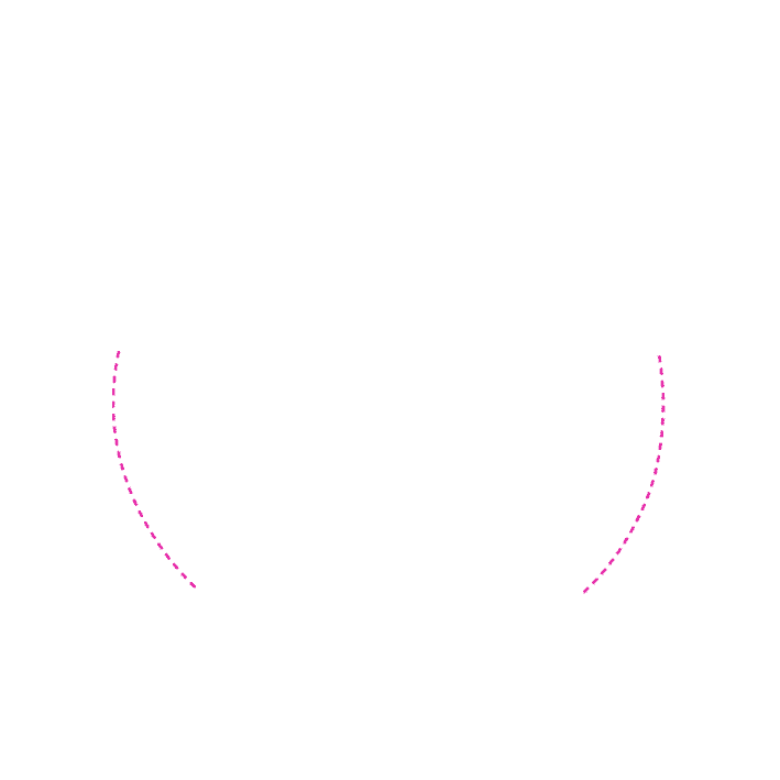 Tissus Lionel