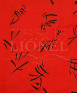 carnaval chine rouge