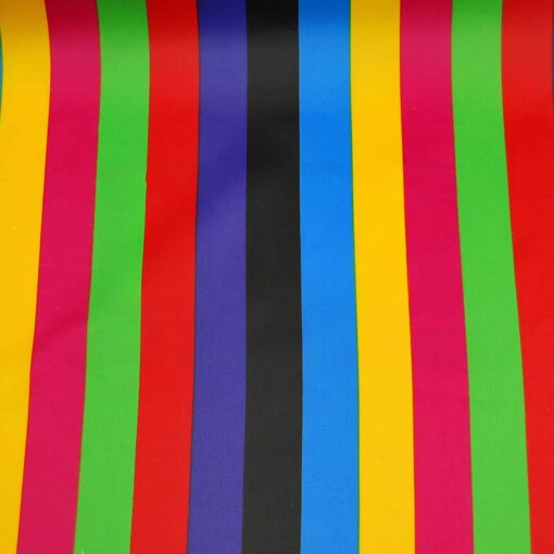 CARNAVAL RAYURES COLORÉES