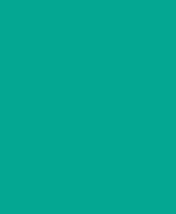 Tissus coton 280cm vert aqua