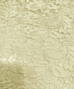 Dentelle guipure quai d'orsay écru