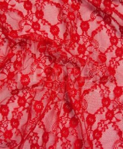 dentelle lorie rouge