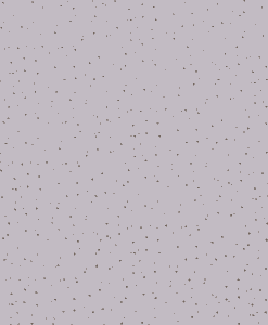 Double gaze pailleté or gris clair