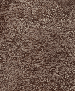 Alternative view of Brocard or rose