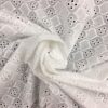 Broderie anglaise blanche 17