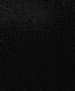 Jersey serpent noir