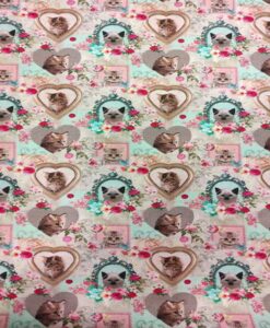 Coton love cats