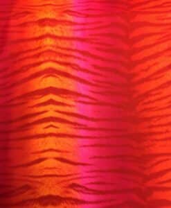 Lycra imprimé tigre multicolors