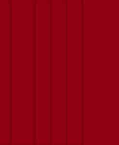 LYCRA MAT ROUGE FRANCE