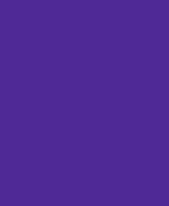 Lycra mat violet