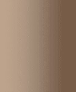 Lycra résille dégradé chair et togo