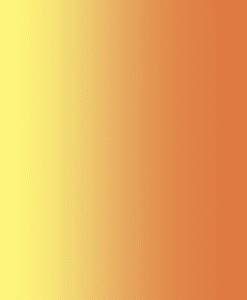Lycra résille dégradé jaune et orange target