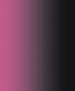 Résille dégradé noir et fuchsia