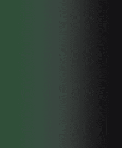 Lycra résille dégradé noir et vert sapin