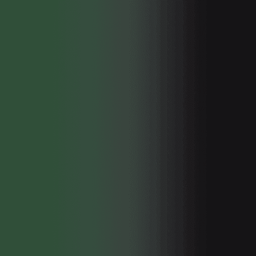 Lycra résille dégradé noir et vert sapin
