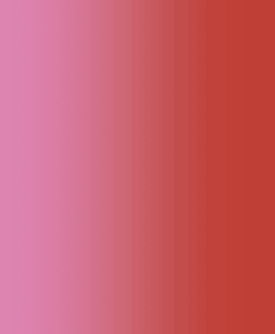 Lycra résille dégradé vermillon et rose bonbon