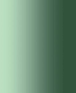 Lycra résille dégradé vert sapin et vert pâle