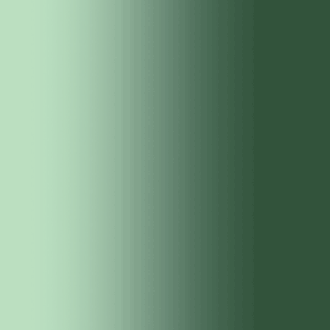 Lycra résille dégradé vert sapin et vert pâle
