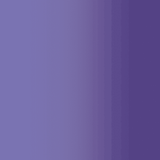 Résille dégradé Violet et parme lilas