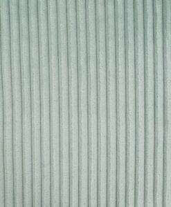 Minky cotelé double face vert pâle