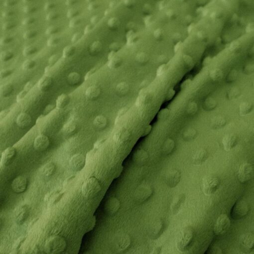 Tissu minky vert fougère
