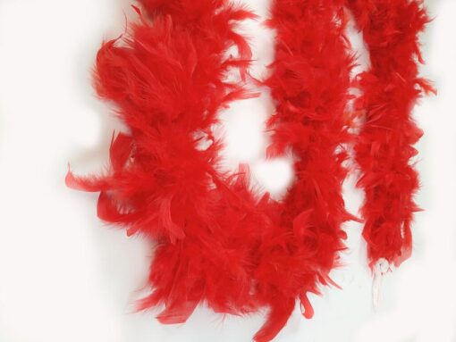 Boa simple en plumes 2 mètres