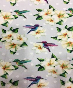 Tissu coton colibri