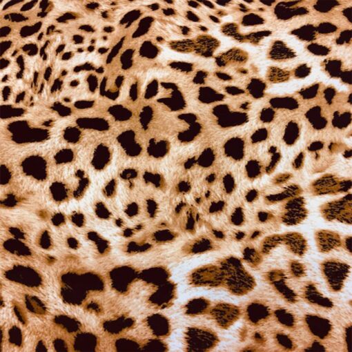 Tissu satin de coton leopard